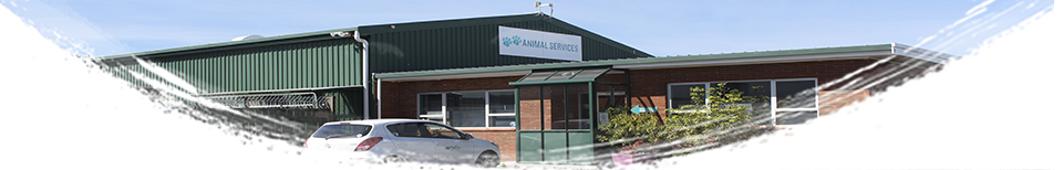 Animal Services in Seaview