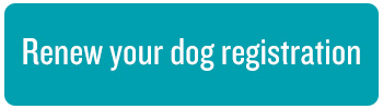 renew your dog registration